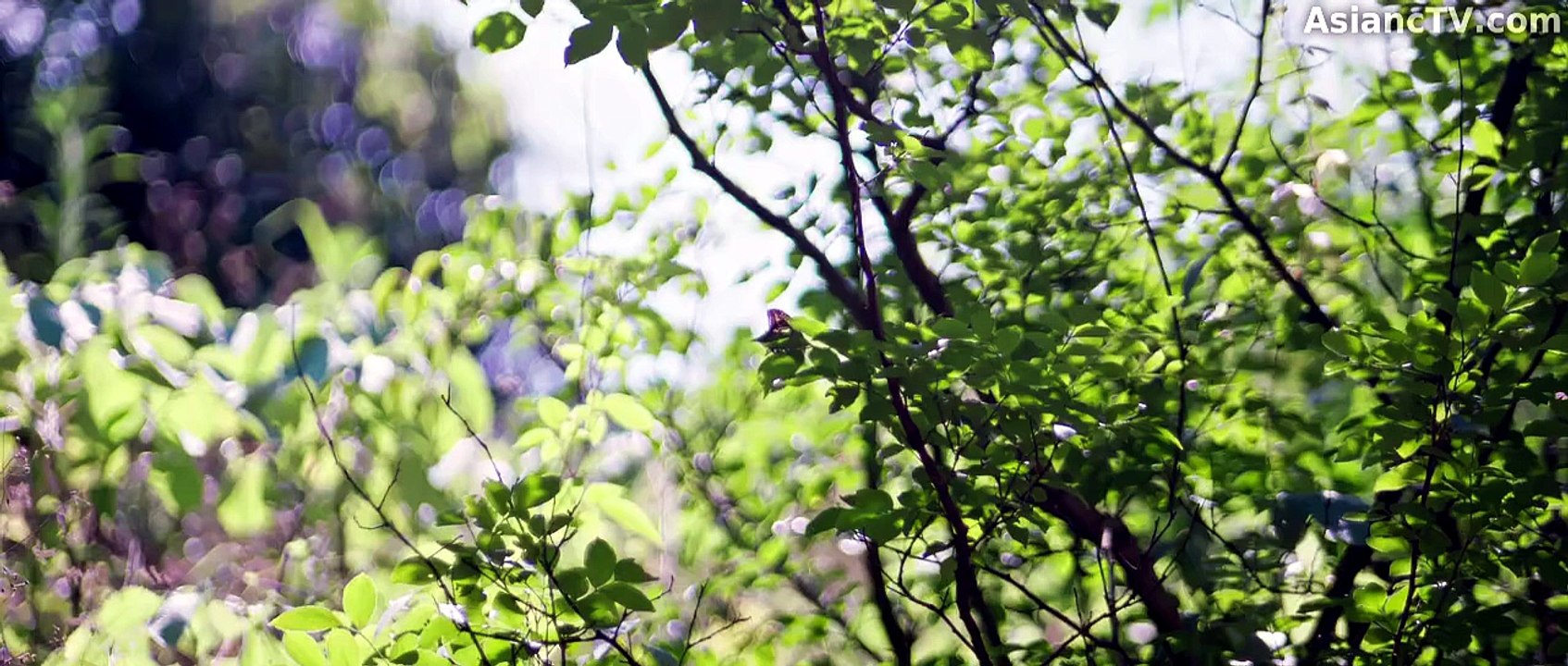 [ENG] EP.18 The Moment I Met You (2026)