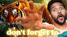 fight for tiger