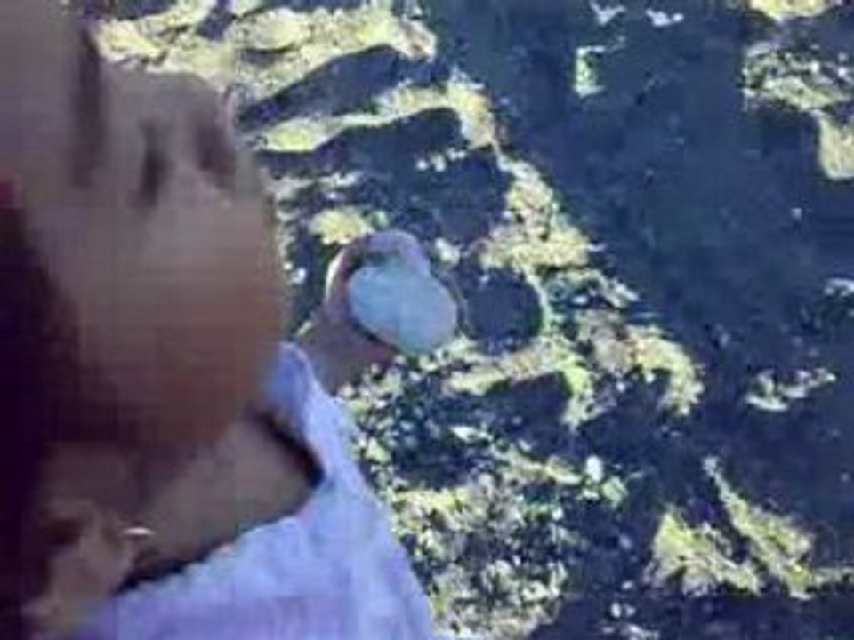 Beach3