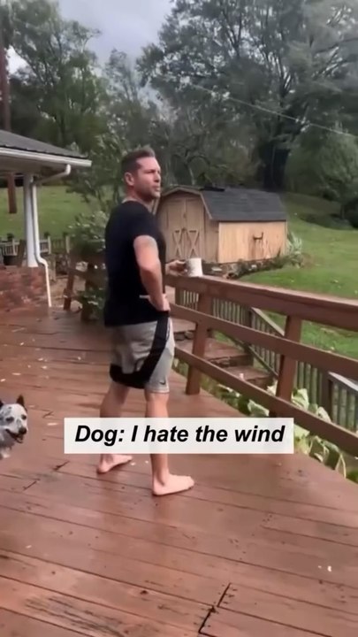 🐶💨