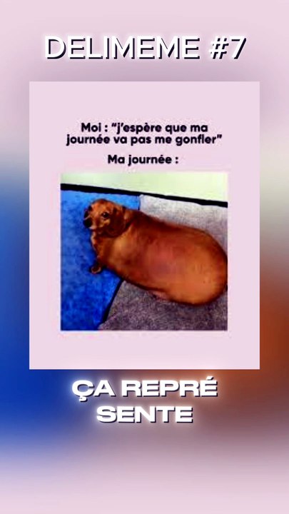 La journée gonflante 🤣