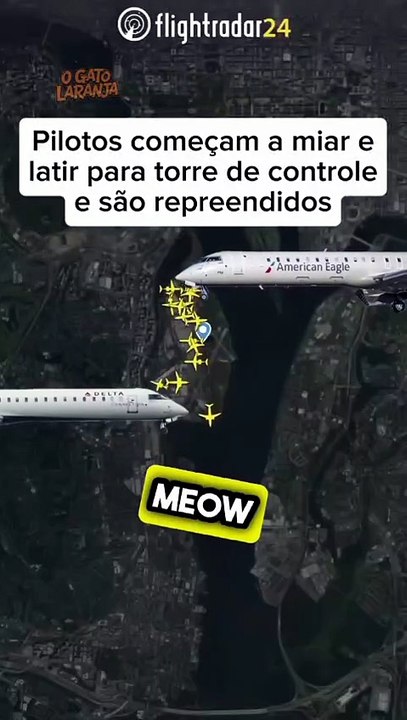 Pilotos viram assunto nas redes após miados e latidos em comunicação com torre de comando