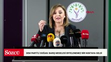 DEM Parti'li Doğan: Barış meselesi ertelenemez bir noktaya geldi