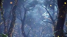 4 HRS fairytale sleepy story | Relax and unwind with peaceful bedtime stories #feeling #relaxing