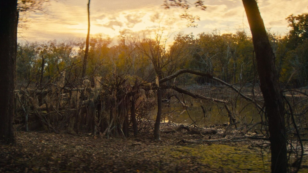 The Blind