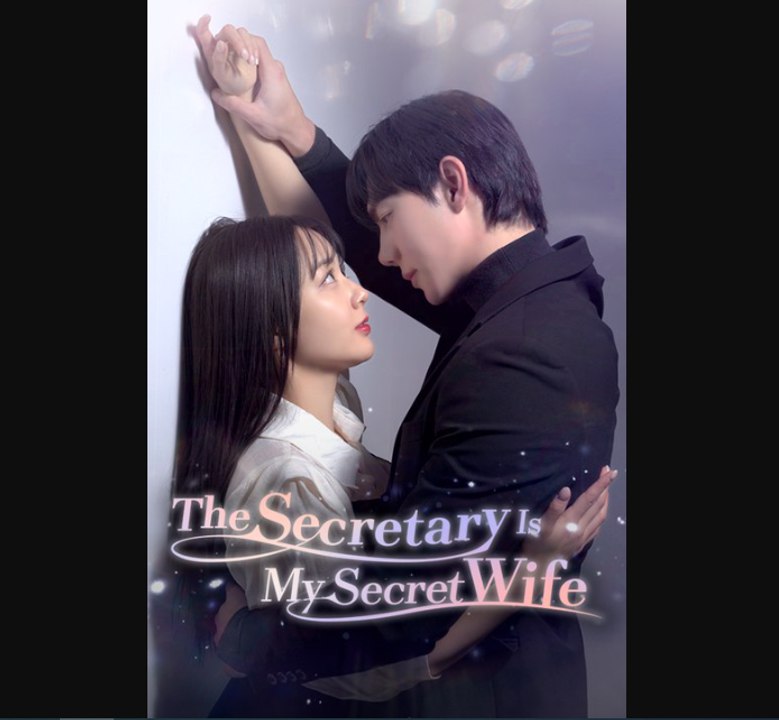 My Secretary Who Once Was My Wife Vigloo