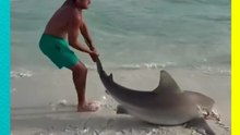Niño arriesga su vida para salvar a un tiburón en Florida