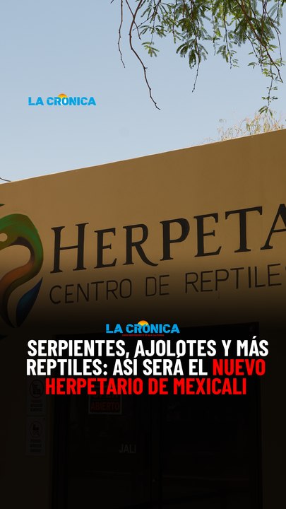 Serpientes, ajolotes y más reptiles así será el nuevo herpetario de Mexicali
