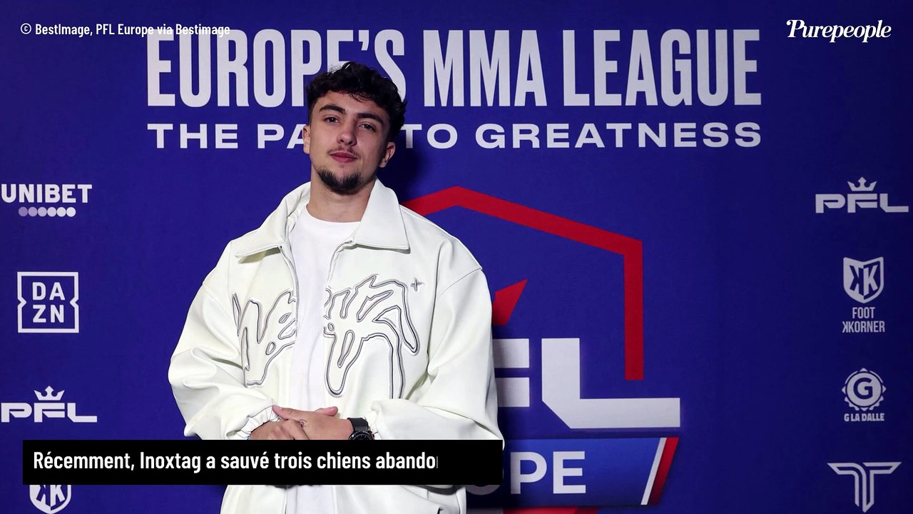 "Ne jamais adopter si..." : Inoxtag met en garde les internautes après avoir recueilli trois chiens livrés à eux-mêmes