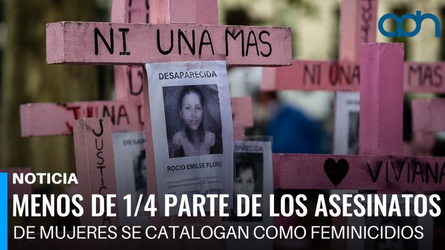 Menos de 1/4 parte de los asesinatos de mujeres se catalogan como feminicidios