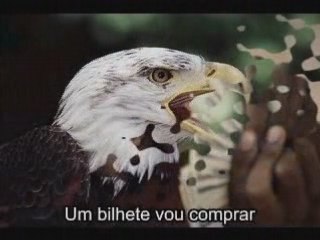 Video Clipe de divulgação Samba Enredo 2007