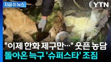 "비 예보 있는데 다행"...돌아온 늑구 향한 뜨거운 환영 [지금이뉴스] / YTN