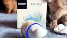 Sony Rolly Repair & Restoration Service – Bring Your Dancing Music Player Back to Life