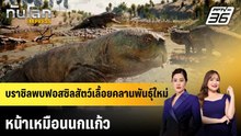 บราซิลพบฟอสซิลสัตว์เลื้อยคลานพันธุ์ใหม่ หน้าเหมือนนกแก้ว |ทันโลก EXPRESS | 17 เม.ย. 69