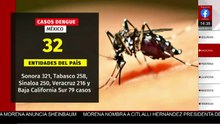 México confirma 1,408 casos de dengue en las 32 entidades del país