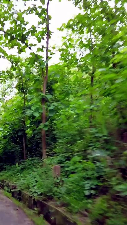 Exploring the Bandarban's Mountain with Bike 02