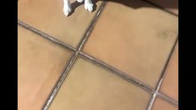 Agozzino Alfredo story con il piccolo arnold