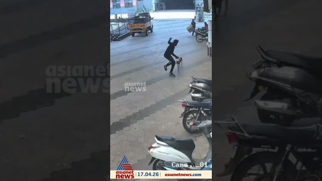 വീണ്ടും ആക്രമണം;മലപ്പുറം പട്ടിക്കാട് തെരുവ് നായയുടെ ആക്രമണത്തിൽ യുവാവിന് പരിക്ക്