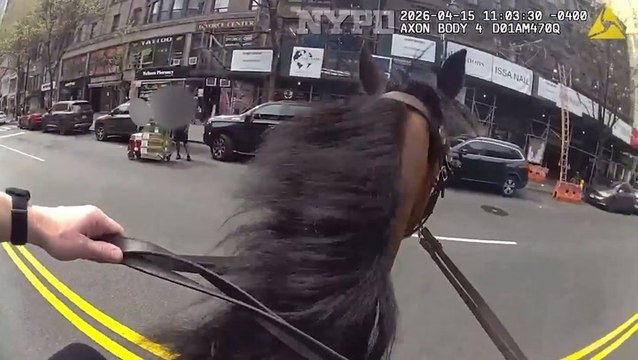 NYPD officer on horseback chases down alleged purse thief through Manhattan streets
