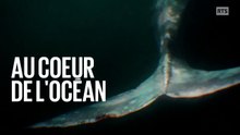 Au cœur de l'océan