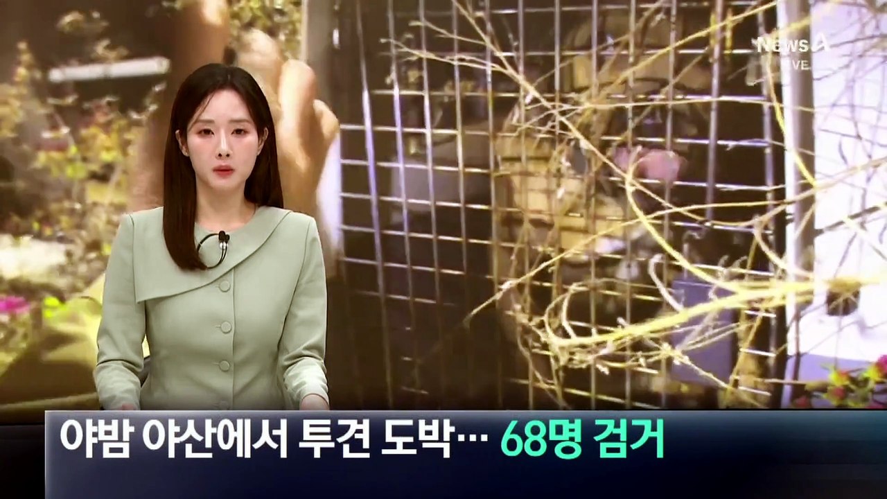 야밤 야산에서 투견 도박…68명 검거