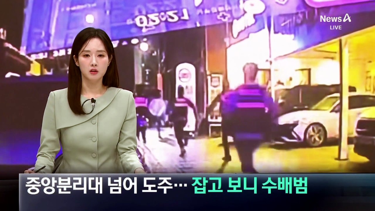 중앙분리대 넘어 도주…잡고 보니 수배범