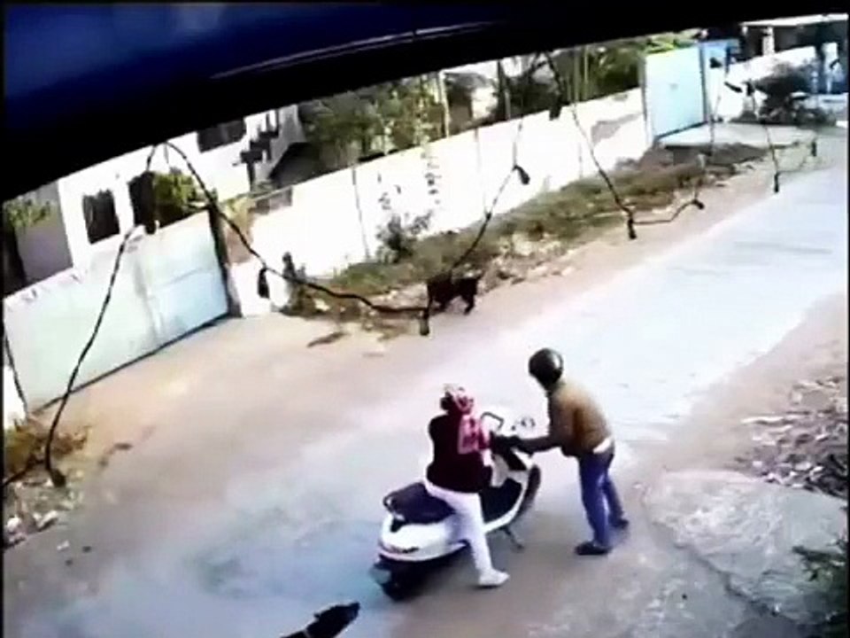 Man on scooty with daughter gets chased by 2 unleashed pet dogs + 2 strays. He stops & tries to shoo them away in self-defense. Pet owners rush in & brutally beat him.