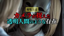 カメラが捉えた 透明人間のような存在