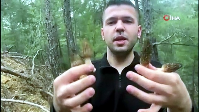 Doğada kendi kendine yetişiyor, tezgahta 1.500 TL'ye satılıyor! Faydaları say say bitmiyor!