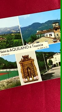 Image from field_mediaid