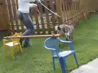 ma tite banbi avec c new protec