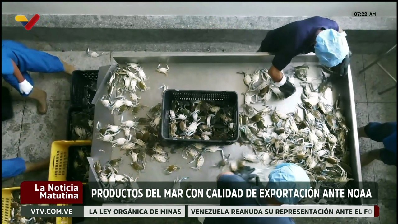 Productos del mar venezolano culminan con éxito la certificación de comparabilidad ante la NOAA