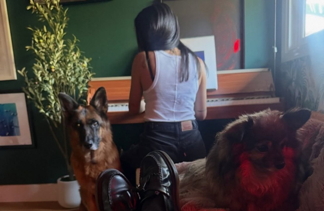 'Dancing with the Stars'-Profi Sasha Farber bestätigt offenbar Beziehung mit Janel Parrish