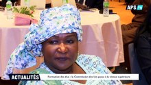 Formation des élus  la Commission des lois passe à la vitesse supérieure