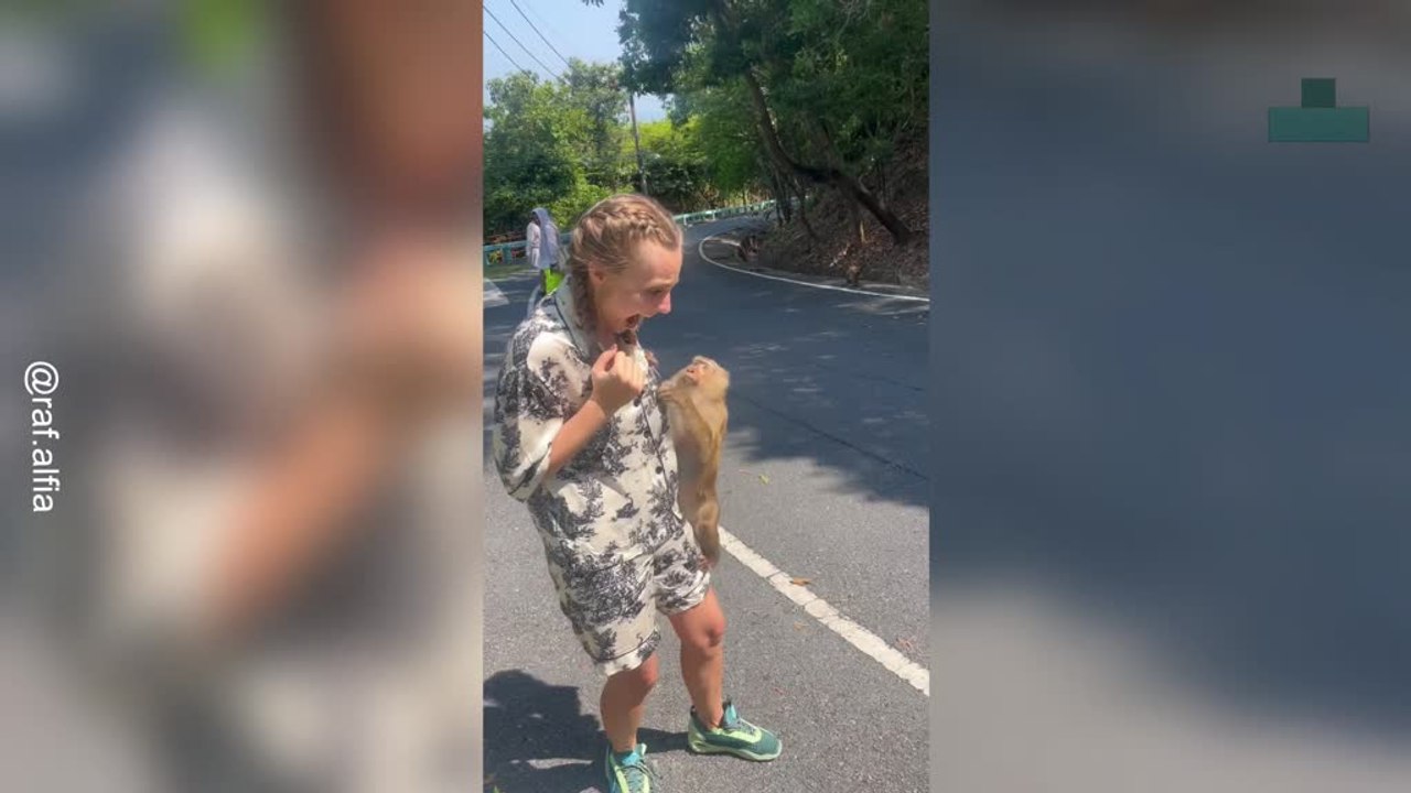 Hilarious Moment Monkey Steals a Woman's Drink