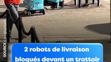 2 robots de livraison bloqués devant un trottoir #robot #shorts