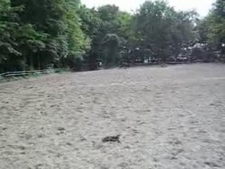 LOupètte se défOule !