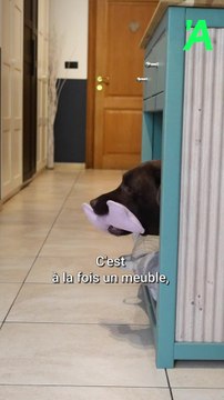 Meubles Canis à Profondeville