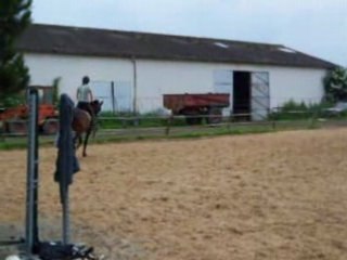 Petit moment de répis au trot