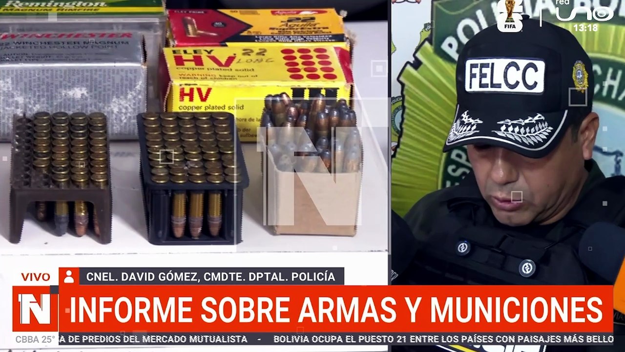 INFORME SOBRE ARMAS Y MUNICIONES