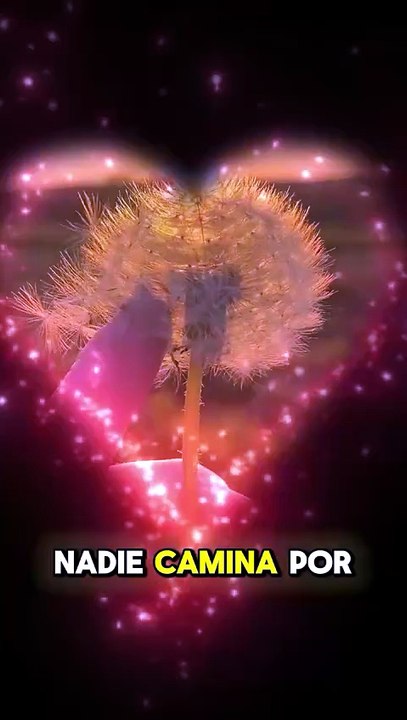 Mensaje de motivación