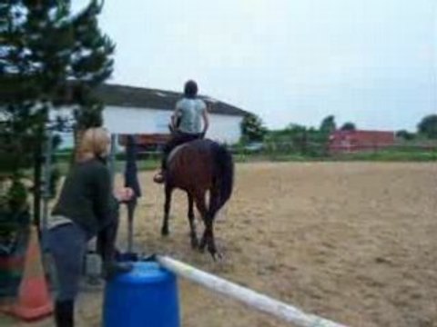 quix travaille au trot