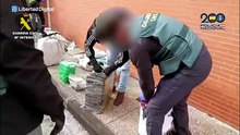 Desarticulada una red de narcotráfico en Sevilla con 17 detenidos