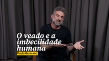 O veado e a imbecilidade humana