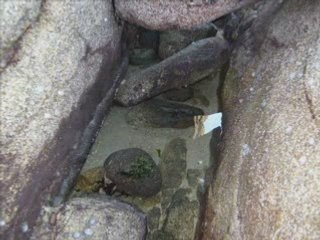 Plouescat la mer octobre 2007