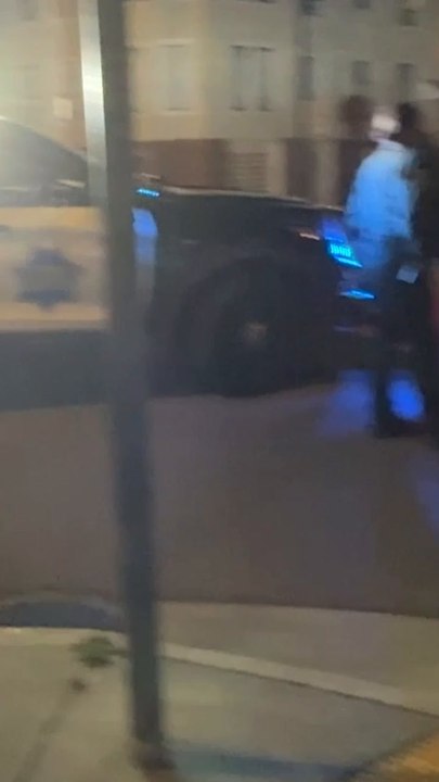 Baby sea lion gets lost on the streets of San Francisco