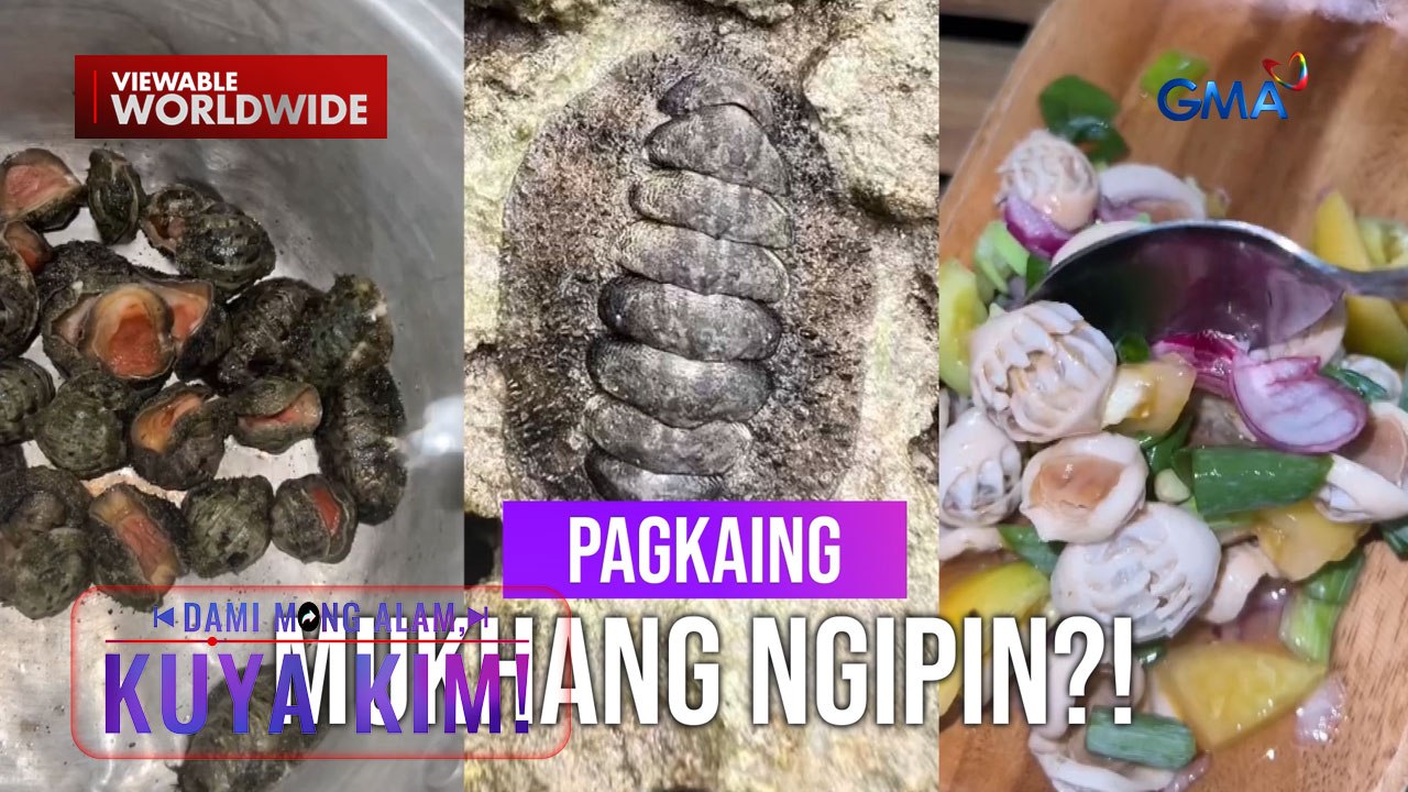 Pagkain na mukha raw alien, masarap daw i-mukbang?! | Dami Mong Alam, Kuya Kim!