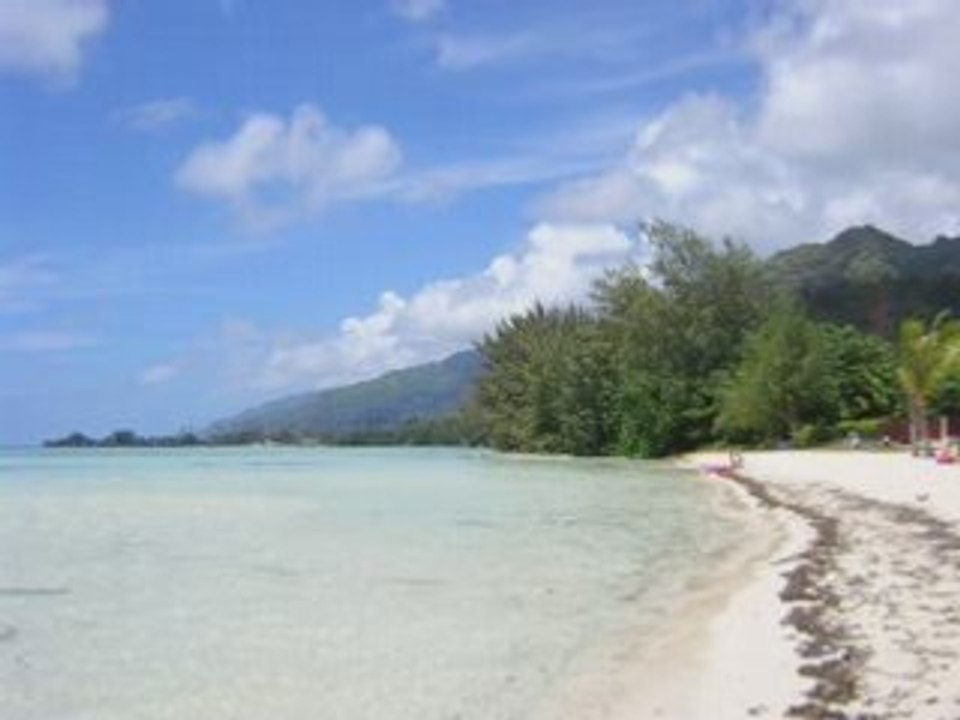 1980 disco funk excellentissime