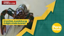 Pag-aalaga ng crayfish na hobby lang noon, kumikita na ng 6 digits kada buwan! | Pera Paraan