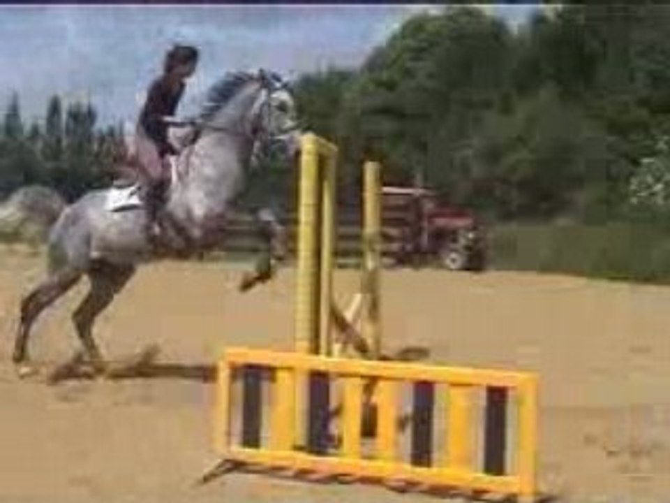 Cheval gris - 6 ans